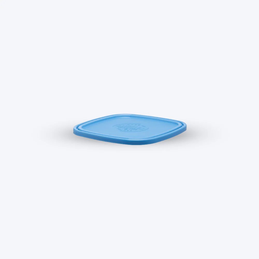 Freshbox - Couvercle Bleu carré - 20cm